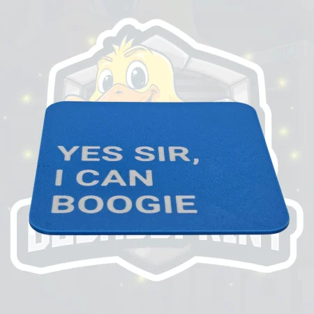 I Can Boogie Coaster