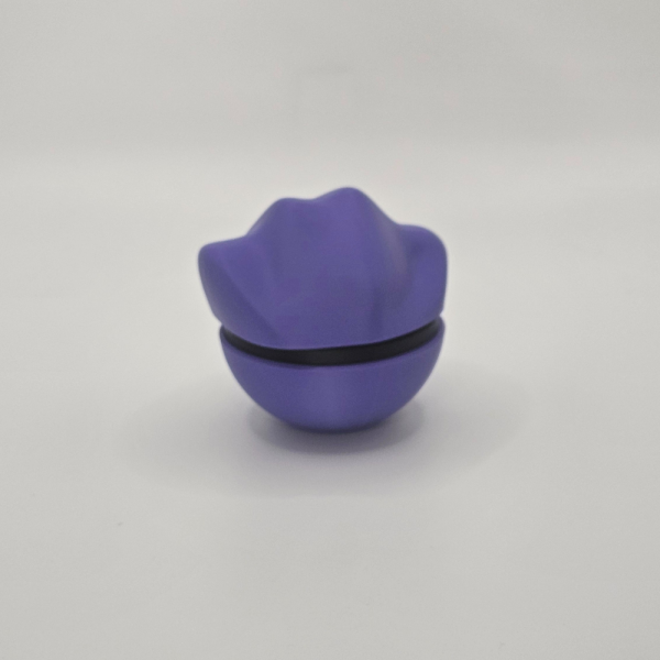 Ditto - Image 4