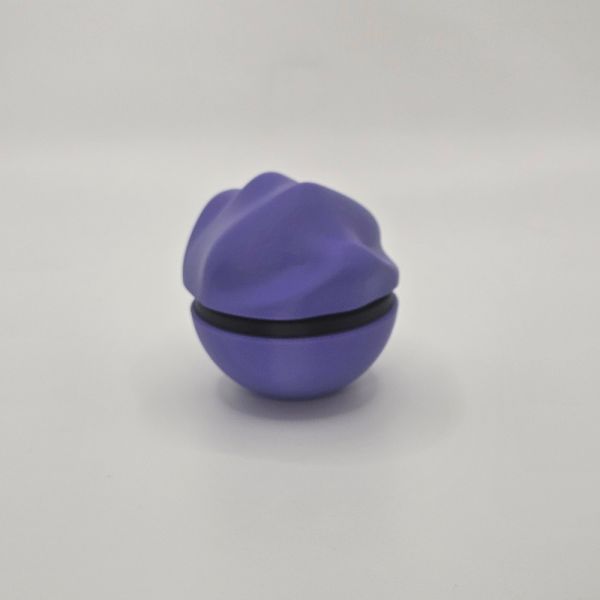 Ditto - Image 3